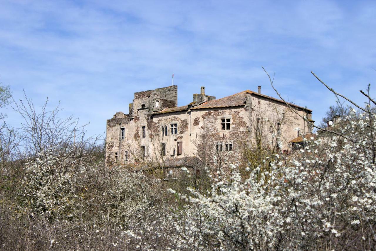 Chateau De Latour Sur Sorgue Marnhagues-et-Latour Zewnętrze zdjęcie